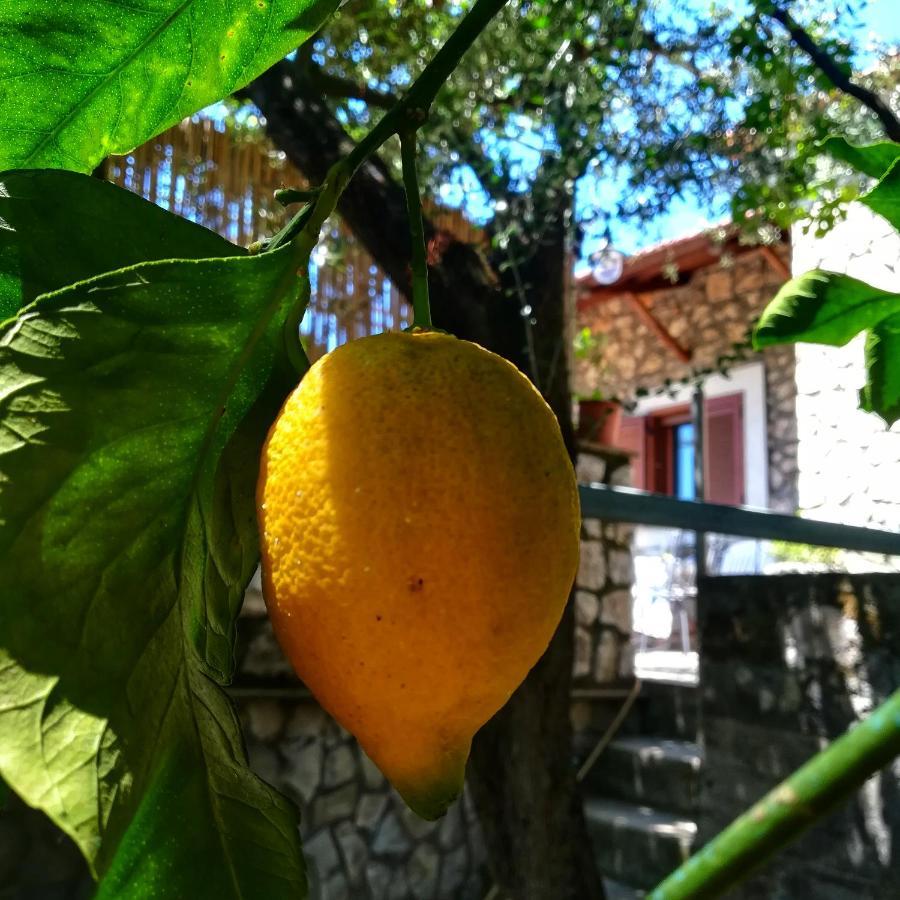 La Mandra, Cottage Tra Gli Ulivi Vico Equense Eksteriør billede